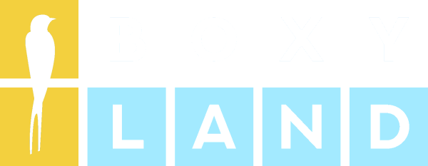 Boxyland Partners